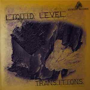 Liquid Level - Transitions FLAC