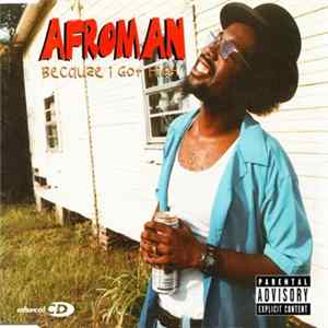 Afroman - Because I Got High FLAC