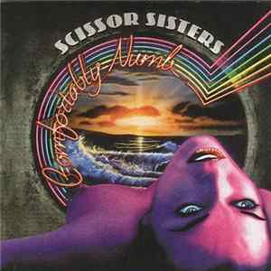 Scissor Sisters - Comfortably Numb FLAC