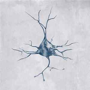 X=18 - The Slow Twitch FLAC