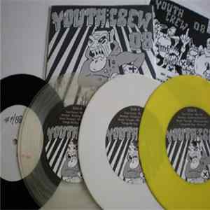 Various - Youth Crew 08 FLAC