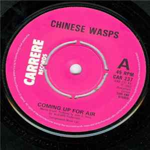 Chinese Wasps - Coming Up For Air FLAC