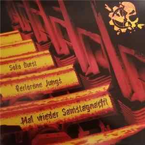 Verlorene Jungs / Soko Durst - Mal Wieder Samstagnacht FLAC