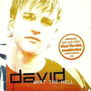 David - What The Hell FLAC