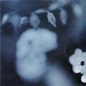 Mark Kozelek - Duk Koo Kim FLAC