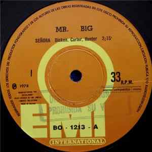 Mr Big - Señora FLAC