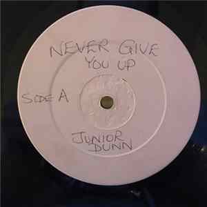 Junior Dunn / Lloydie Crucial - Never Give You Up / Hard Nights Work FLAC