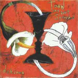 Toad The Wet Sprocket - Dulcinea FLAC