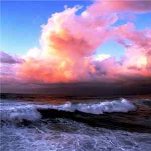 DJ Mediafire - Pure Consciousness FLAC