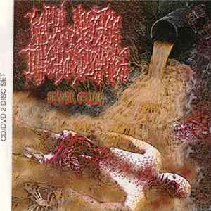 Rectal Abscess Infection Discharge - Sewer Grind FLAC