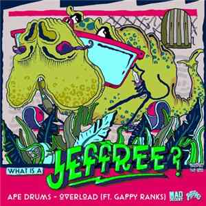 Ape Drums - Overload FLAC