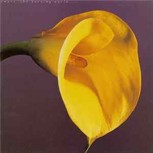 Swans - The Burning World FLAC