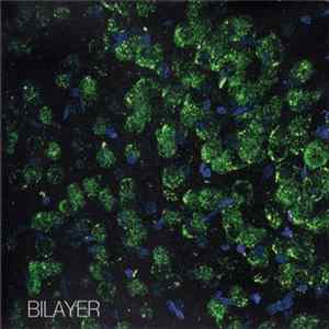 Bilayer - Bilayer FLAC
