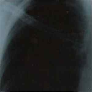 Various - May The Plague Be With You... FLAC