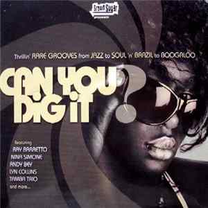 Various - Can You Dig It? FLAC
