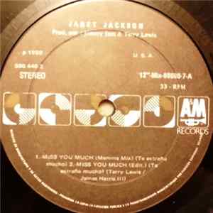 Janet Jackson - Miss You Much Much FLAC