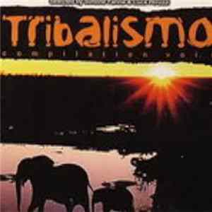 Various - Tribalismo Compilation Vol. 6 FLAC