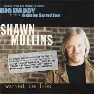 Shawn Mullins - What Is Life FLAC