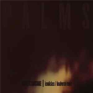 Palms - Antarctic Handshake (IconAclass/deadverse Remix) FLAC