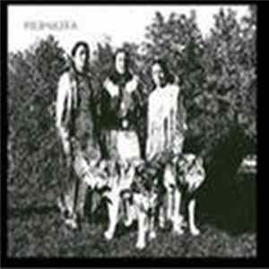 Yarik Ecuador - Wayra Shina Shamushkani Vol. 5 (Filipuliya) FLAC