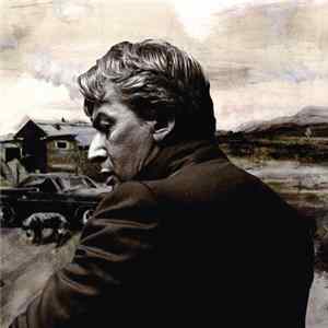 Alain Bashung - Bleu Pétrole FLAC