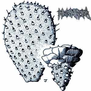 Destructive Floating Rot In The Heliamphora - Demo #2 FLAC