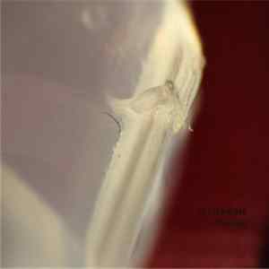 ID Submerged - The Answer FLAC
