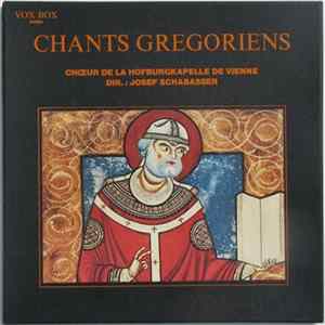 Chœur De La Hofburgkapelle De Vienne , Dir. : Josef Schabasser - Chants Grégoriens FLAC