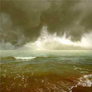 The Human Quena Orchestra - A Natural History Of Failure FLAC