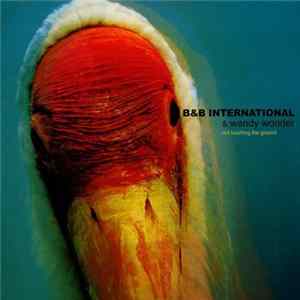 B & B International & Wendy Wonder - Not Touching The Ground FLAC