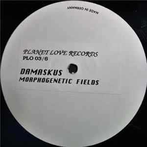 Damaskus - Morphogenetic Fields FLAC