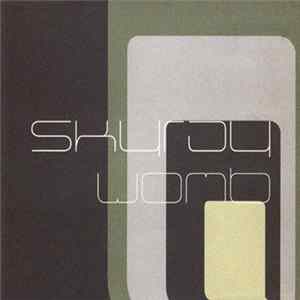 Skyray - Womb FLAC