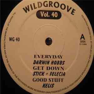 Various - Wildgroove Vol. 40 FLAC
