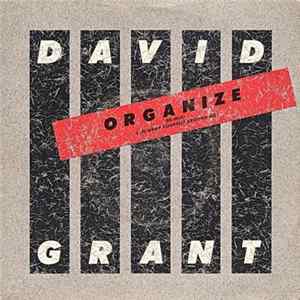 David Grant - Organize / Wrap Yourself Around Me FLAC
