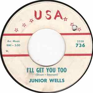 Junior Wells - I'll Get You Too / Every Goodbye Ain't Gone FLAC