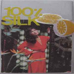 Various - 100% Silk Mixtape FLAC