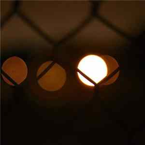 Fluxion - Vibrant Forms FLAC