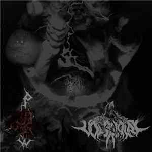 Vourdalak / PKWST - Vourdalak/PKWST Split FLAC