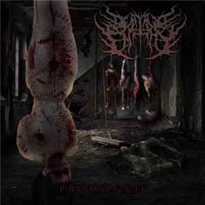 Derisive Entity - Promo 2016 FLAC