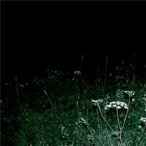 Docetism - Nightwalk FLAC
