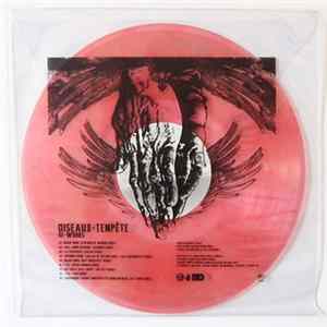 Oiseaux-Tempête - Re-Works FLAC