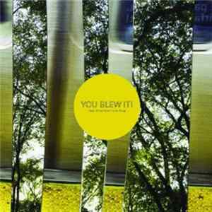 You Blew It! - Keep Doing What You're Doing FLAC