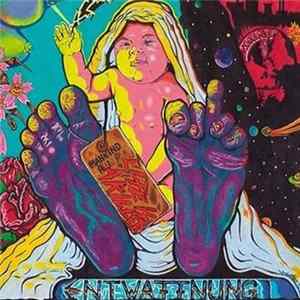 Entwaffnung - Life is a killer FLAC