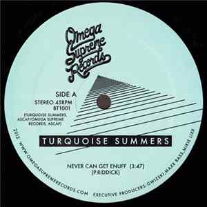 Turquoise Summers - Never Can Get Enuff FLAC