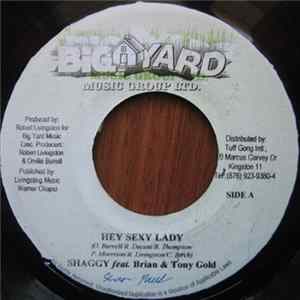 Shaggy Feat. Brian & Tony Gold & Sean Paul - Hey Sexy Lady FLAC