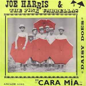 Joe Harris , The Pink Umbrellas - Daisy Does FLAC