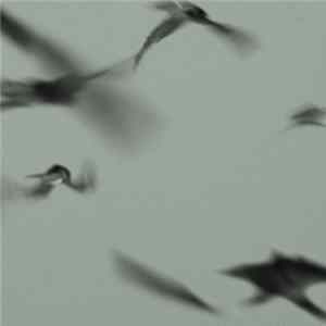 Wilfrido Terrazas - Open Cages Improvisations FLAC