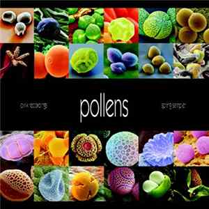 Various - Pollens FLAC