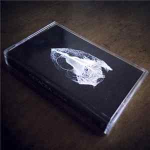 Cetacea - Glyphs FLAC