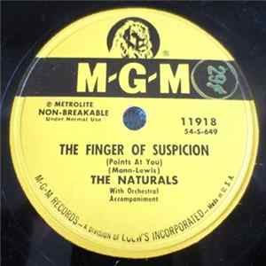 The Naturals - The Finger Of Suspicion (Points At You) / Remember FLAC